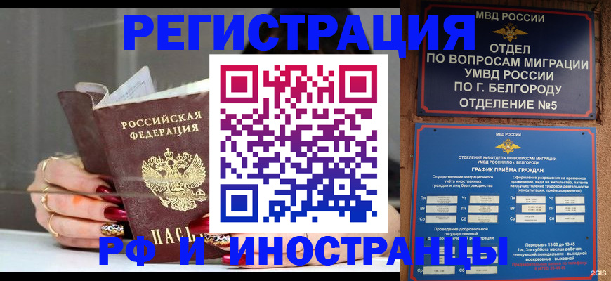 прописка в Елизово